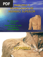 Download Anatomia y Biomecanica de Miembro Superior Hombro by jfenix76 SN19132197 doc pdf