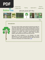 anh le 1105-assignment 4  for web 1