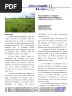 Recuperação de pastagens degradadas em propriedade na região da Confiança em Roraima