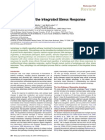 Autophagy and The Integrated Stress Response