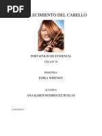 Download portafolio evidencia by amurillol SN191376014 doc pdf