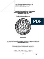 Guía de Informe de Diagnóstico del Proyecto de Investigación Geológica TFC 2013