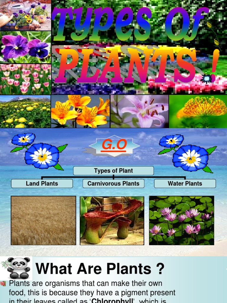 Class 5 Science, Types Of Plants(Plants PPT)