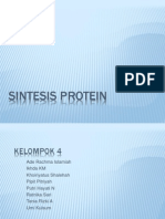 Sintesis Protein Kelompok 4B