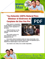 reporte_tunel_carpiano.pdf