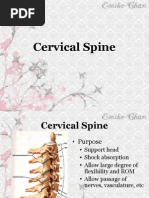 the spine