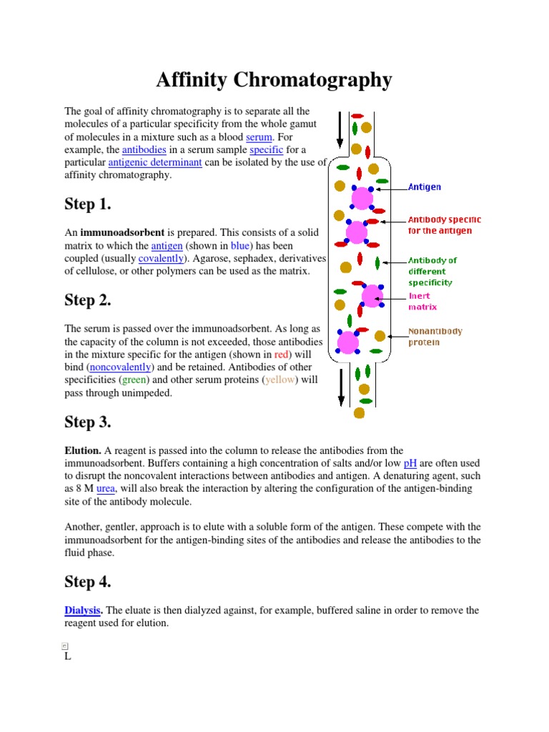 Affinity Chromatography Ligand (Biochemistry) Chromatography