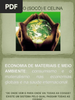 Economia de Materiais e Meio Ambiente