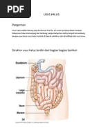 Download 5 Struktur Dan Fungsi Usus Halus by Ashri Margiana SN191486055 doc pdf