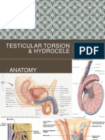 Testicular Torsion, Hydrocele & Fournier Gangrene