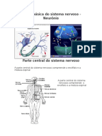 Sistema Nervoso