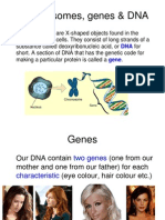 year 10 chromosomes and genetic mutation