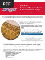 Pododermatite em Aves