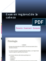 Examen Regional de La Cabeza y Cuello