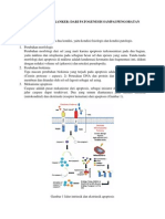 Apoptosis Pada Kanker