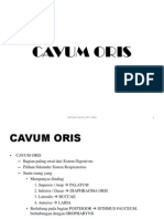 Cavum Oris FKG