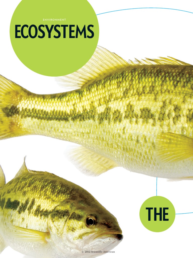 Ecosystems On The Brink Text | PDF | Predation | Food Web