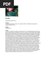 Download Teratai by Andri wijaya SN191587796 doc pdf