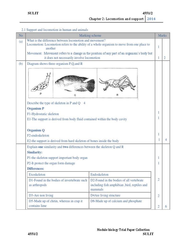 Biology Form 5 Chapter 2 Pdf Vertebra Vertebral Column