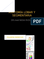 Anatomía Lobar y Segmentaria
