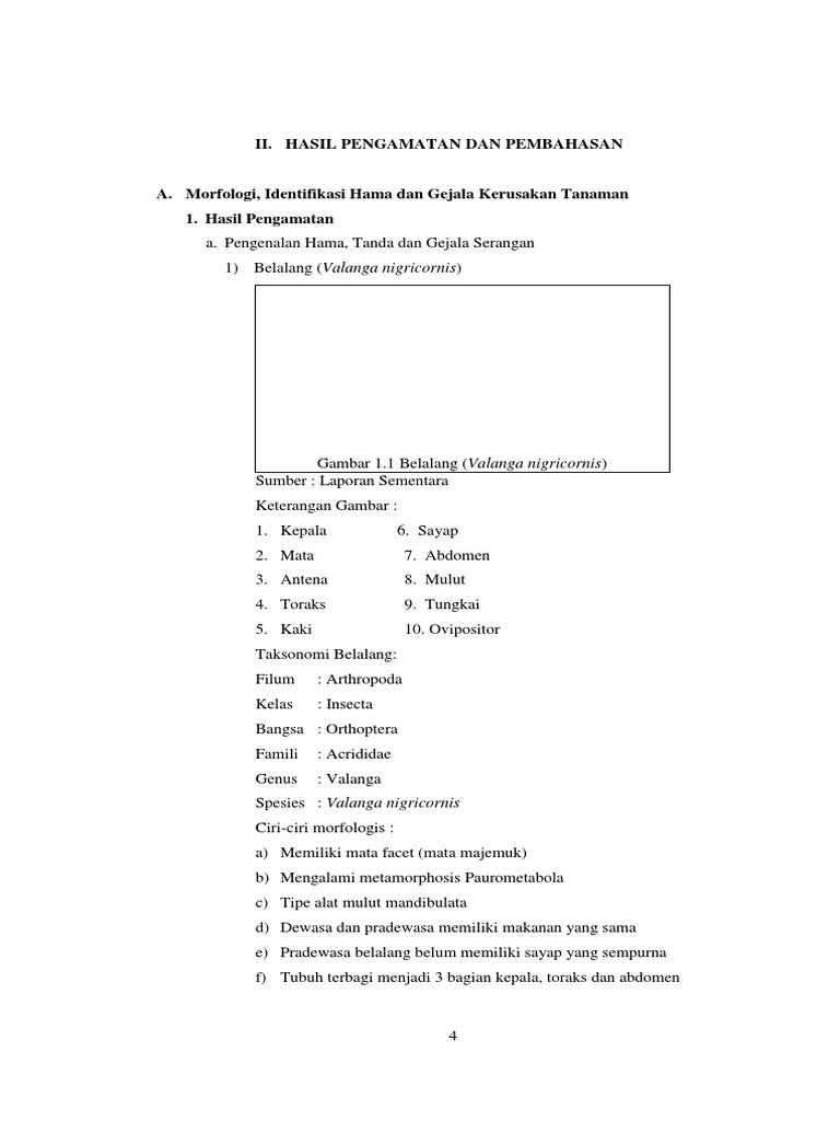 Urutan Kunci Determinasi Tanaman Kacang Tanah Yang Benar Adalah Berbagi Tanam