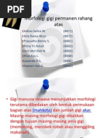 Download Morfologi Gigi Permanen Rahang Atas by Silma Nurul Azkia SN191617884 doc pdf