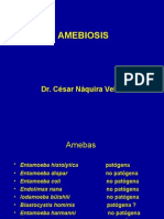 Amebiosis