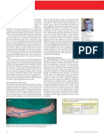 Foot Drop: Section Anatomy Primer