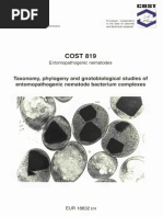 Taxonomy, Phylogeny and Gnotobiological Studies of Epn Nematode Comples