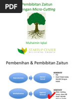 Download Pembibitan Zaitun Dengan Micro-Cutting by Muhaimin Iqbal SN191628348 doc pdf
