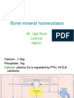 Bone Mineral Homeostasis: Mr. Ujjal Bose Lecturer Kmcic