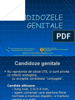 12 Candidozele