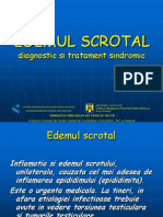 18 Edemul Scrotal