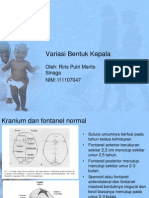 Variasi Bentuk Kepala