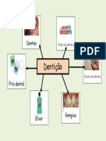 Area Vocabular Denticao