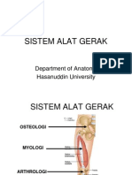 K1 Osteologi