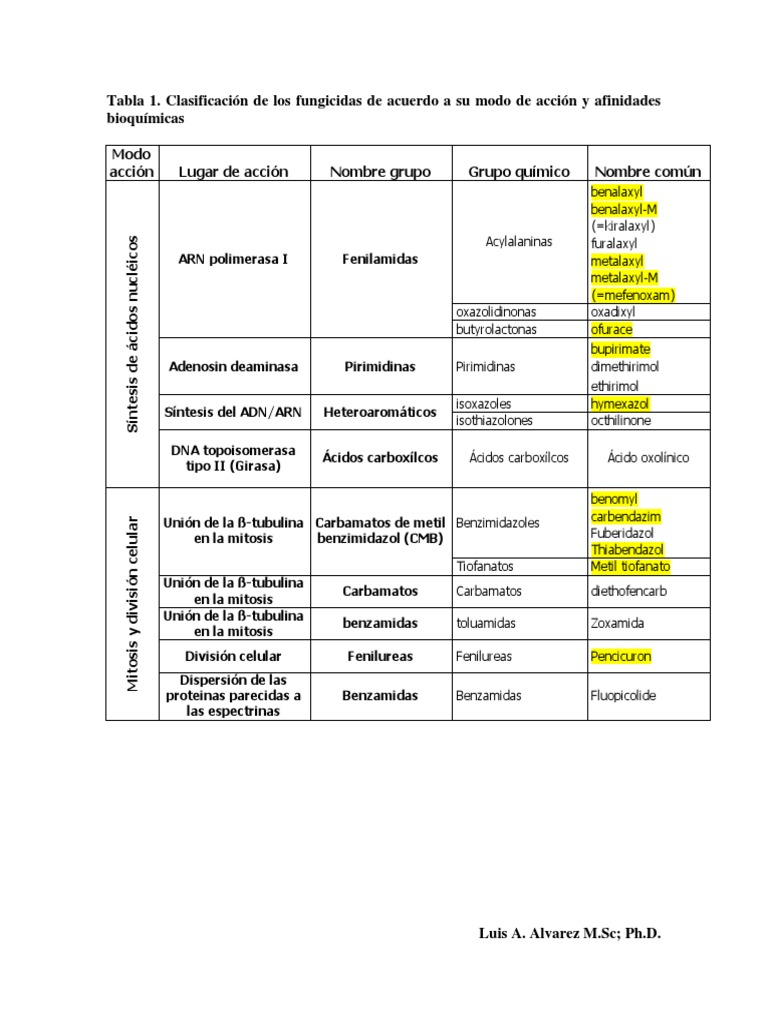 Veilleuse main image 1