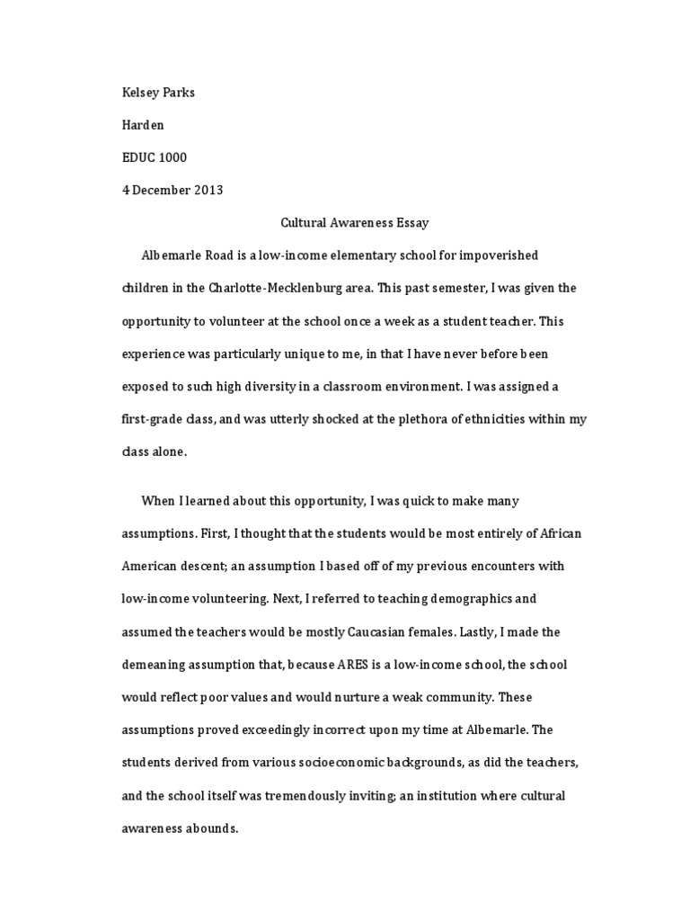 Essay On Cultural Awareness - Words | Help Me