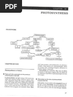 Photosynthesis Study Guide Questions