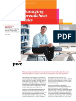 PWC Countdown June 11 Managing Spreadsheet Risks-1 PDF