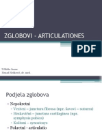 8 Zglobovi