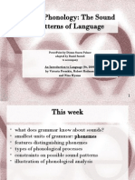 Phonology: The Sound Patterns of Language