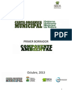 COMPONENTE AMBIENTAL ROBORE.pdf