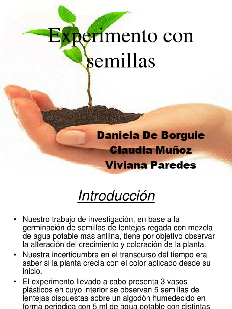 Experimento Con Semillas Pdf Germinación Horticultura Y Jardinería