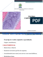 Tecido Cartilaginoso (Ok)