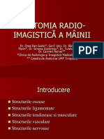 Anatomia Radioimagistica A Miinii