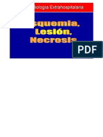 Isquemia y Necrosis PDF
