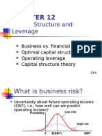 Capital Structure and Leverage