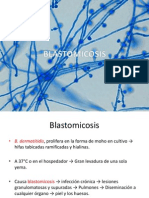 Blastomicosis y paracoccidioidomicosis: morfología, patogenia y tratamiento