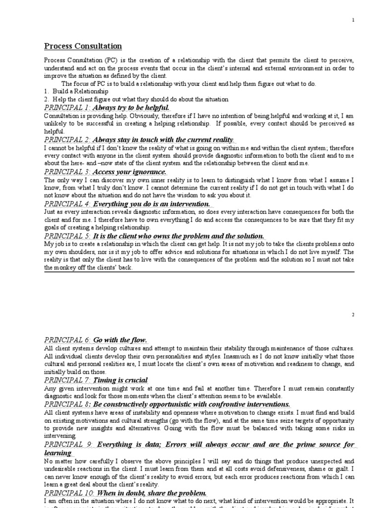 Process Consultation Principal 1 Pdf Social Psychology Epistemology